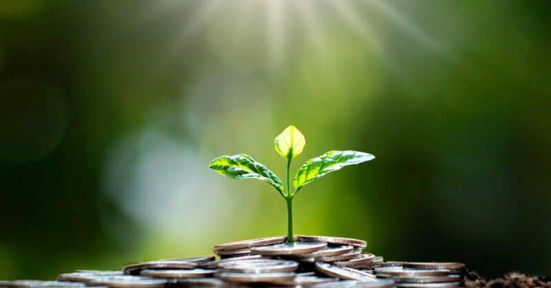 The five Pillars of Holistic Wealth Management